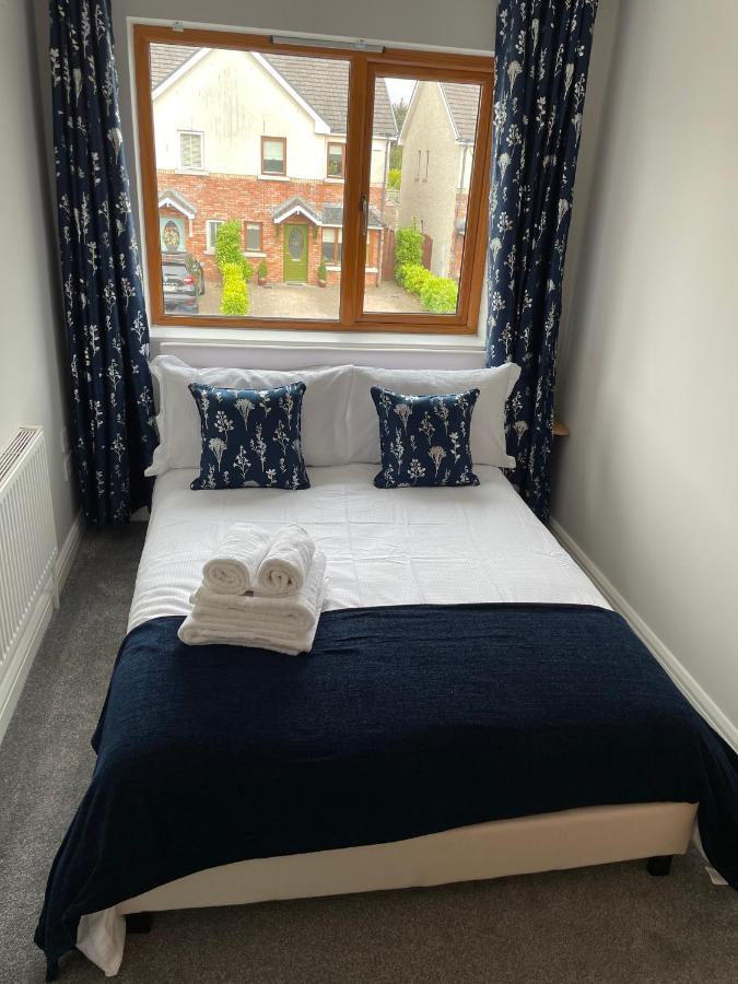 Private Double Room & Bathroom Naas Exterior photo